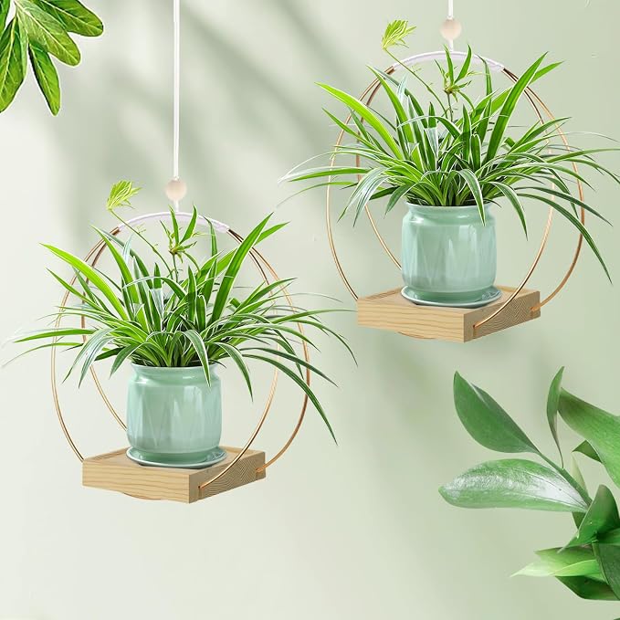 hismocal Hanging Planter for Indoor Plants, Plant Hanger - Image 6