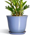 Ceramic Plant Pots, 10 Inch Plant Pot by SUNPOTFOR