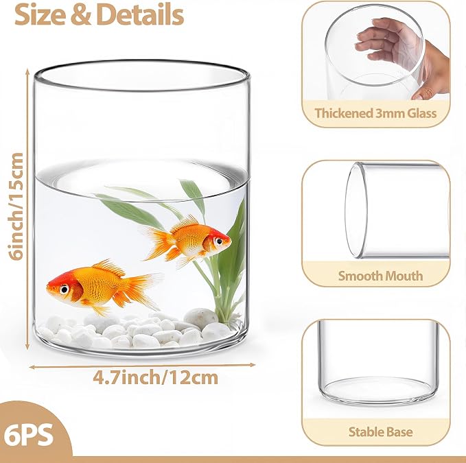 6pcs 6" x 4.7" Clear Glass Cylinder Vases - Image 2