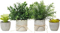 4 Pack Small Fake Plants in Pulp Pot by Decorateyouridealhomewithease