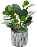 AlphaAcc Fake Plant 8" Black Clay Planter Farmhouse Bath Kitchen Decor | Rreal by AlphaAcc