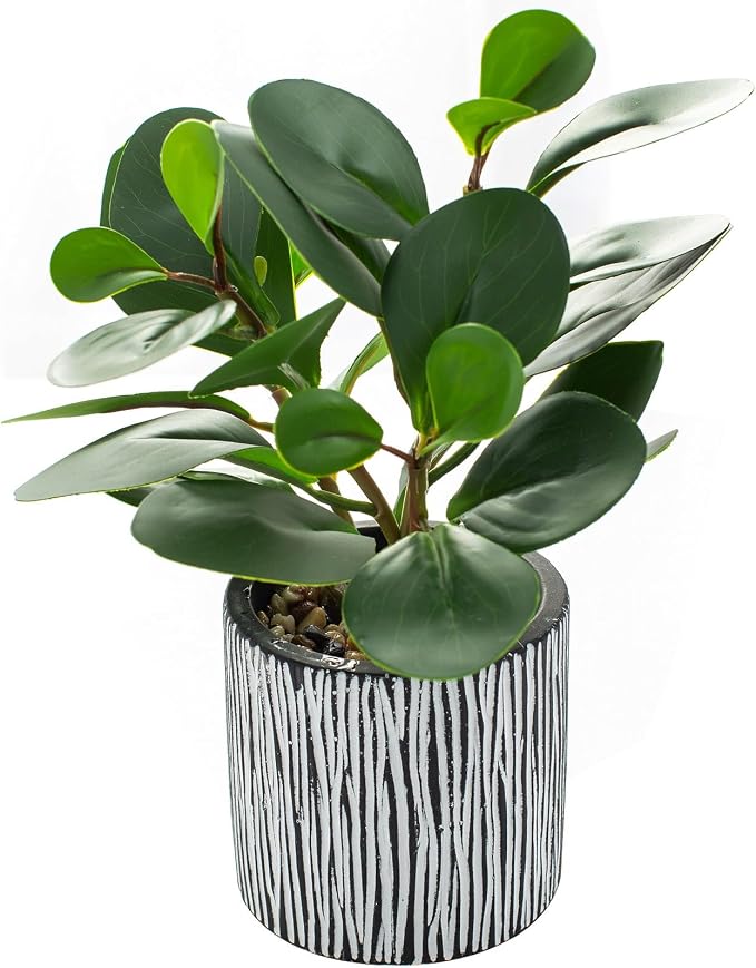 AlphaAcc Fake Plant 8" Black Clay Planter Farmhouse Bath Kitchen Decor | Rreal by AlphaAcc