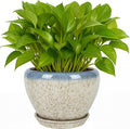 Deep Dream 6 Inch Plant Pots- Ceramic Planter Pot by DeepDream