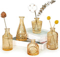 SUPMIND Glass Bud Vases Set of 5, Small Gold Amber Flower Vases in Bulk | Mini by SUPMIND
