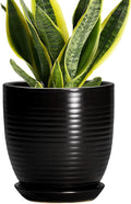 6 Inch Plant Pot by EPFamily