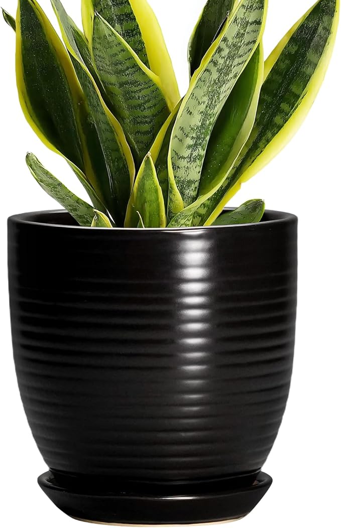6 Inch Plant Pot by EPFamily