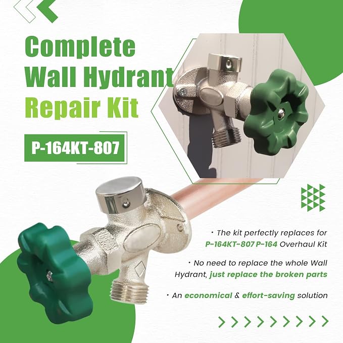 P-164KT-807 Rebuild Kit, Replace - Image 2