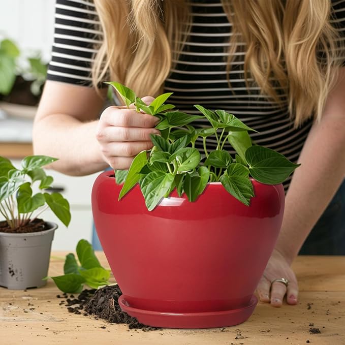 Ceramicfor Ceramic Planter for Indoor Plants 8 Inch - Image 5
