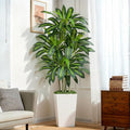 6FT Artificial Dracaena Tree by Keeplush