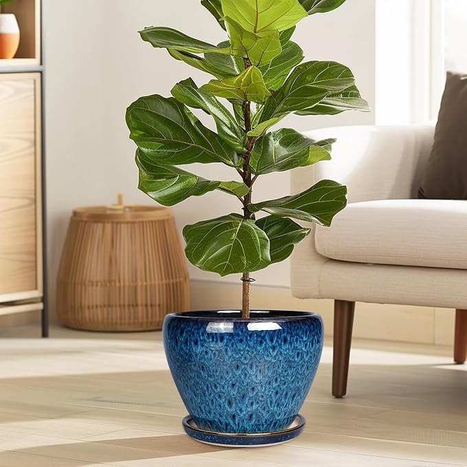 Ceramicfor 8 Inch Ceramic Plant Pot, Ceramic Planter Pot - Image 2