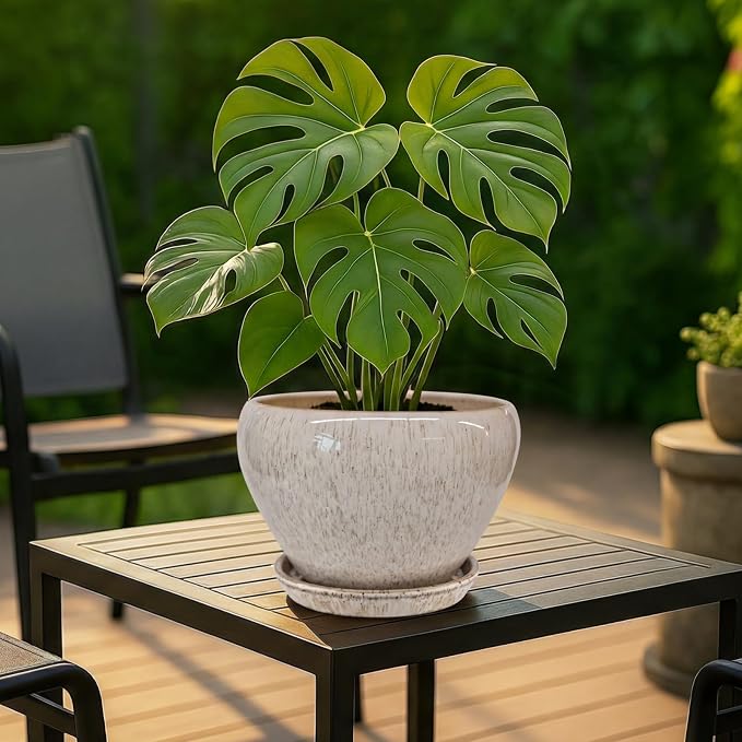 Deep Dream 8 Inch Plant Pots- Ceramic Pots - Image 3