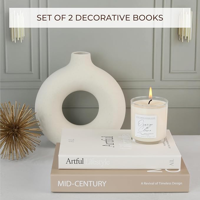 Aesthetic Decorative Books Set of 2 - Image 2