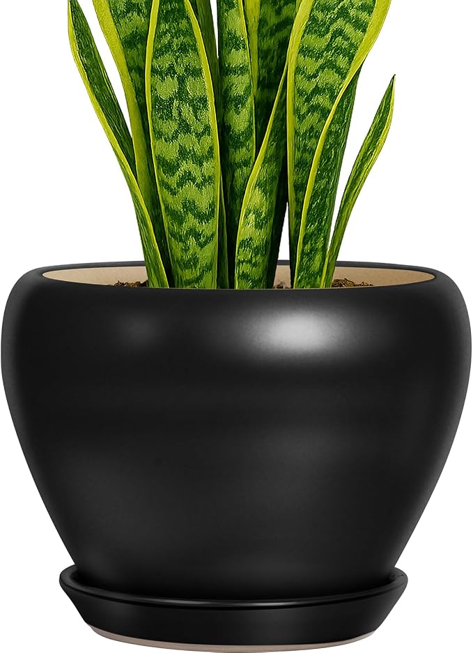 Deep Dream 8 Inch Plant Pot by DeepDream