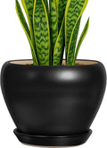 Deep Dream 8 Inch Plant Pot by DeepDream