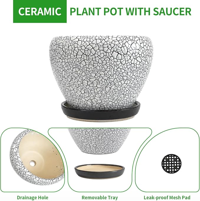 Deep Dream 6 Inch Plant Pots- Ceramic Planter Pot - Image 6