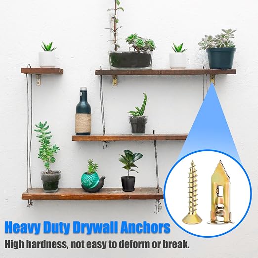 336Pcs Toggle Bolts Heavy Duty Drywall Anchors and Screws Assortment Kit - Image 5