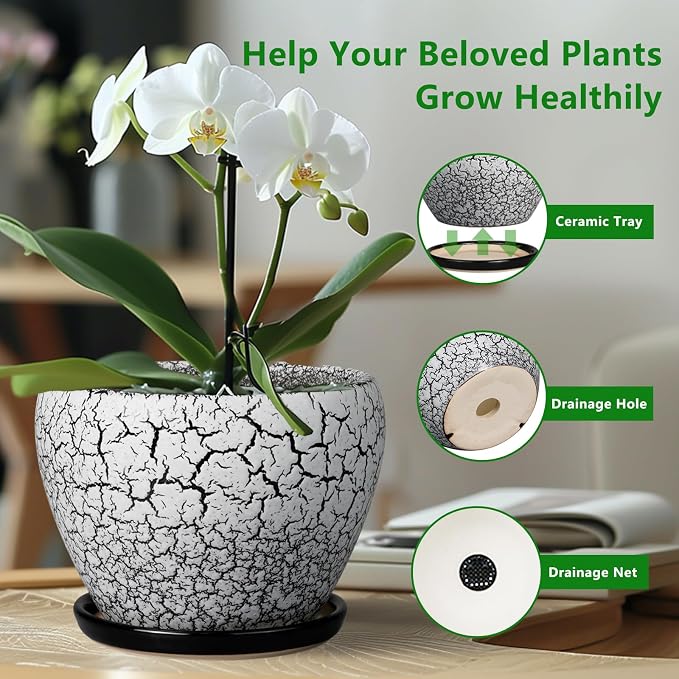 Ceramicfor Ceramic Plant Pot 8 Inch - Image 6