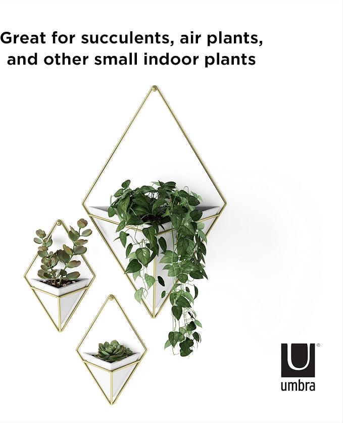 Umbra Trigg Hanging Planter for Small Plants - Image 7
