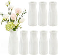 Qinyoung White Ceramic Bud Vase Set of 8 by Qinyoung