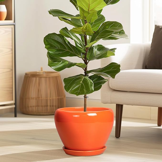 Ceramicfor Indoor Plant Pot 8 Inch - Image 2