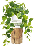 Fake Plants, Artificial Plants Indoor, Realistic Durable, Fake Pothos by Waipfaru