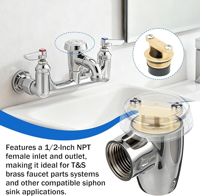 B-0969-RK01 Repair kit for T&S Brass 1/2" NPT Plumbing Vacuum Breaker -2 PK | - Image 6