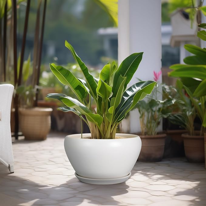 Ceramicfor Planter for Indoor Plants 13 Inch - Image 4