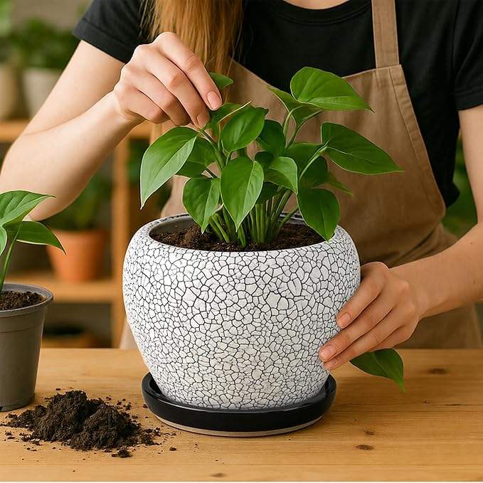 Deep Dream 8 Inch Plant Pots- Ceramic Pots - Image 5