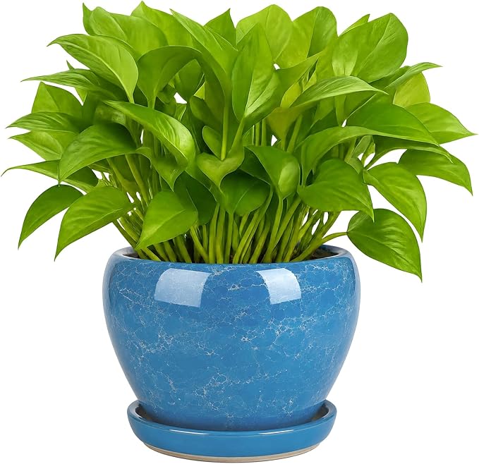 Deep Dream 6 Inch Plant Pots- Ceramic Planter Pot by DeepDream