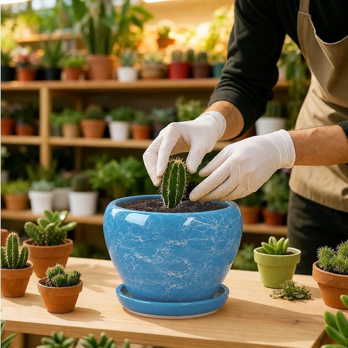 Deep Dream 6 Inch Plant Pots- Ceramic Planter Pot - Image 5