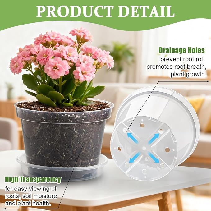 RooTrimmer 12 Pack 8 Inch Clear Plant Pots - Image 3