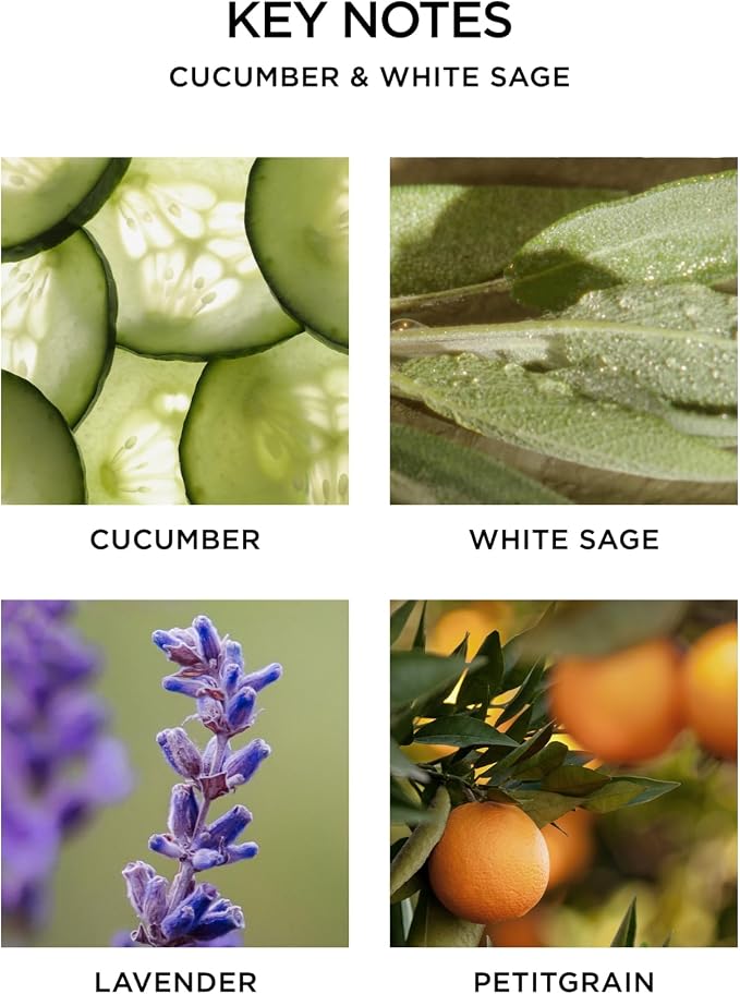 NEST New York Scented Classic Candle, Cucumber & White Sage - Image 3