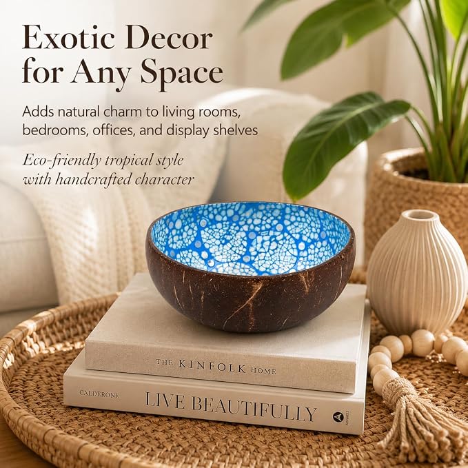 Natural Coconut Bowl Key Decorative - Image 6