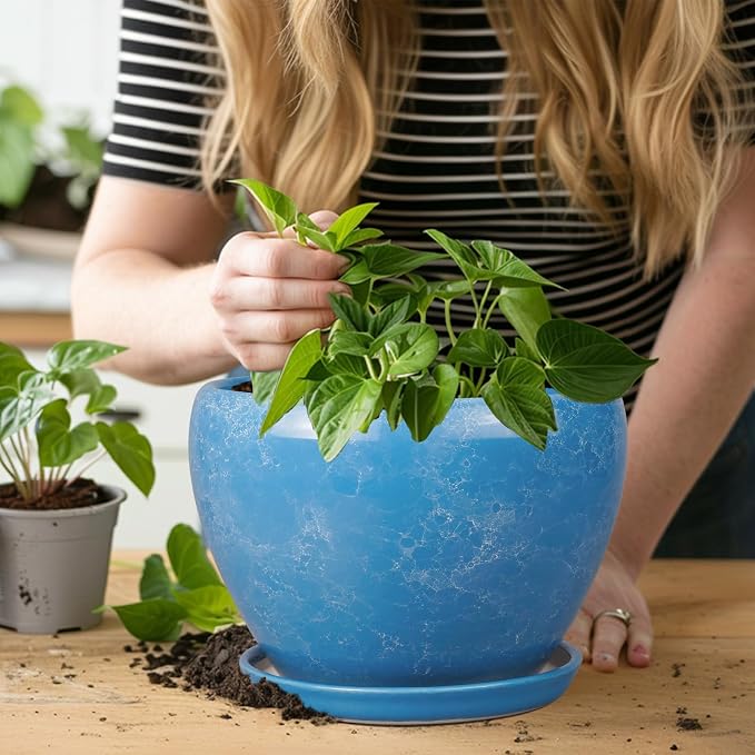 Ceramicfor Ceramic Planter - Image 7
