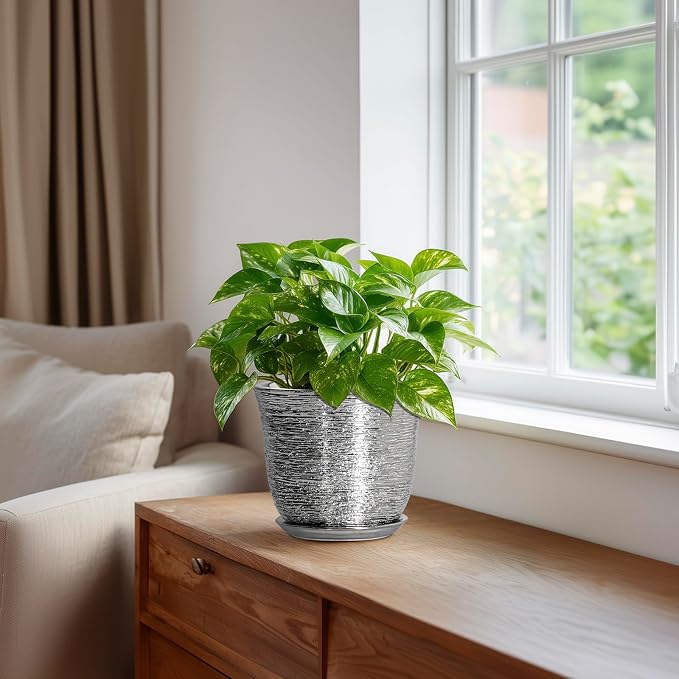 5.6 Inch Plant Pot - Image 5
