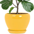 Deep Dream 10 Inch Plant Pot- Ceramic Planter Pot Round Plant Pots by DeepDream