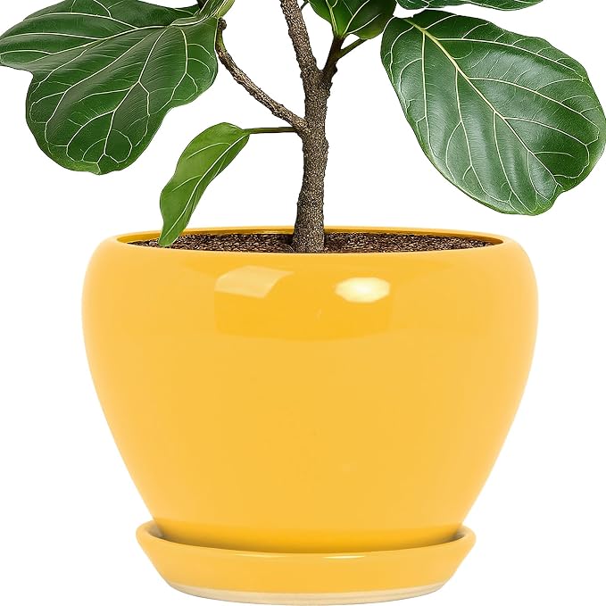 Deep Dream 10 Inch Plant Pot- Ceramic Planter Pot Round Plant Pots by DeepDream