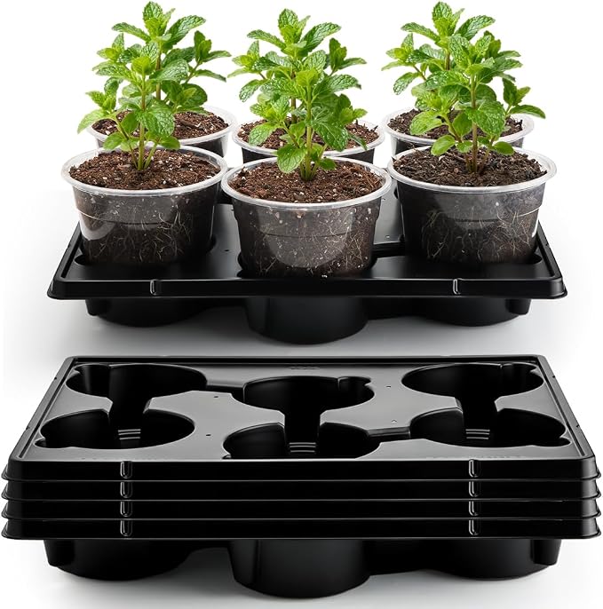 RooTrimmer 30 Pack 6 Inch Clear Nursery Pots and 5 Pack 6 Cell Round Plant Pot by RooTrimmer