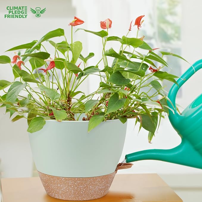 YNNICO 12 inch Large Self Watering Plant Pots, Flower Pots Planters - Image 6