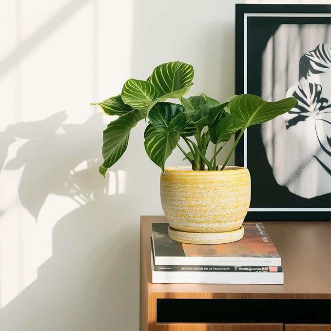 SQOWL Ceramic Planter - Image 6