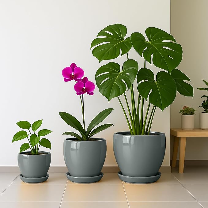 Deep Dream 8 Inch Plant Pots- Ceramic Pots - Image 7