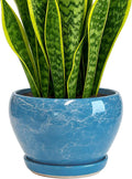 Deep Dream 8 Inch Plant Pots- Ceramic Pots by DeepDream