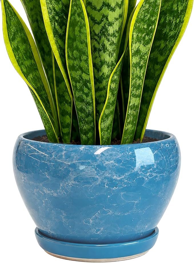 Deep Dream 8 Inch Plant Pots- Ceramic Pots by DeepDream
