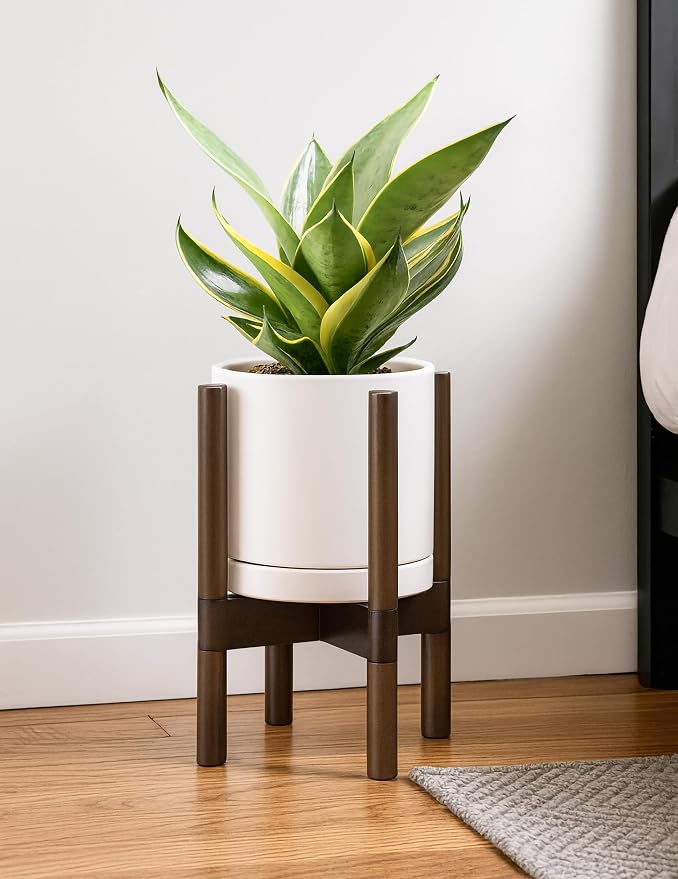 D'vine Dev Ceramic Pot with Walnut Wood Stand, 8 in, 55-B-Y-8 | Mid-Century - Image 6