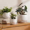 LE TAUCI Ceramic Plant Pots, 4.1+5.1+6.5 inch, Planters by LETAUCI