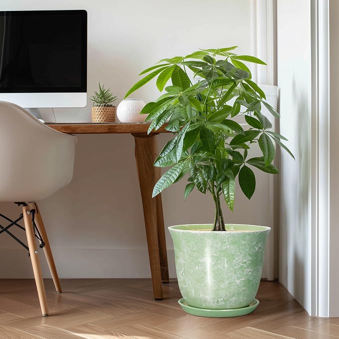 12 Inch Pots for Plants - Image 3