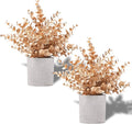 Coferset 2 Pack Small Fake Plants Eucalyptus Potted by Coferset