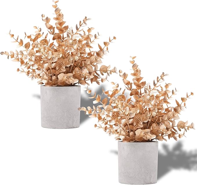 Coferset 2 Pack Small Fake Plants Eucalyptus Potted by Coferset