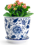HakkaGirl 8 inch Ceramic Planters by HakkaGirl