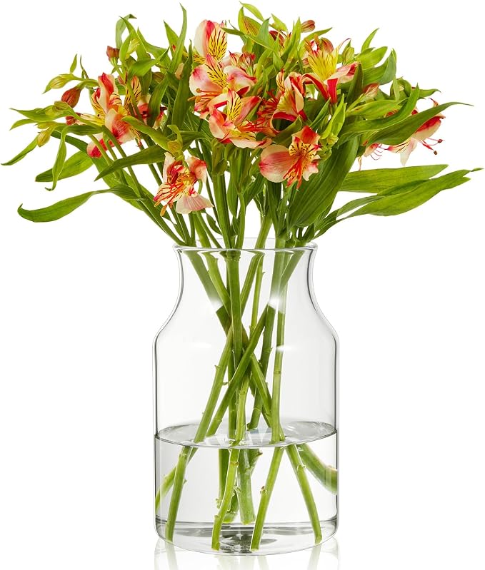 Clear Glass Vase, 8 inch Glass Flower Vase by BWODYAY